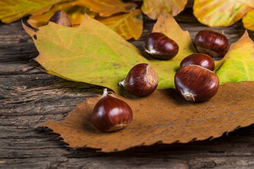 Chestnuts Near Dry Leaves on top of Wooden Surface