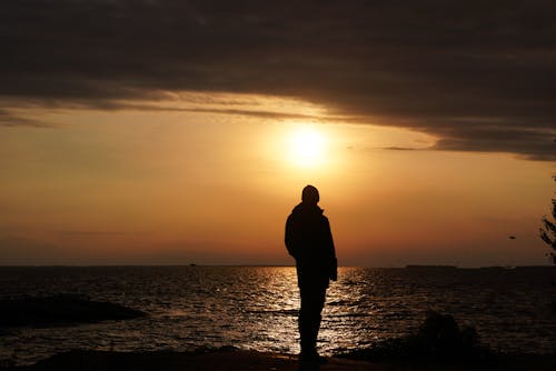 Gratis stockfoto met achteraanzicht, achtergrondlicht, bij de oceaan