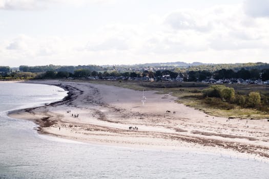 Aerial photo of a scenic coastline with a sandy beach and lush greenery under a blue sky.
