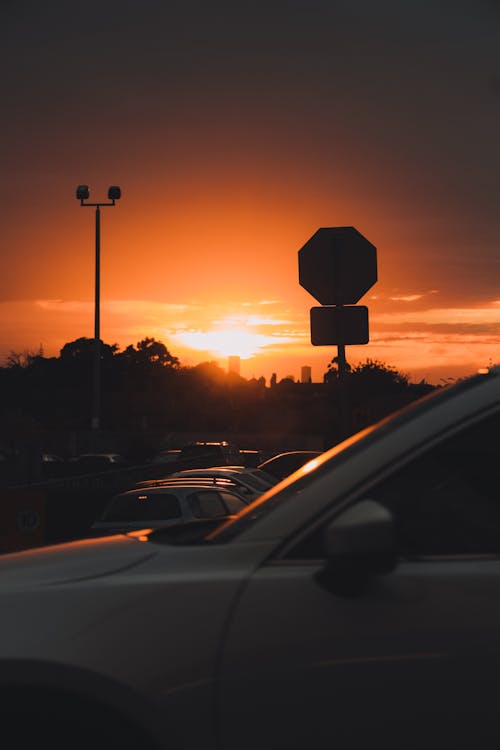 Parked Cars during Sunset 
