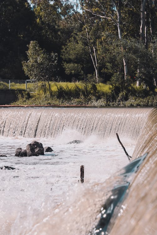 Foto d'estoc gratuïta de cascades, fluint, moviment