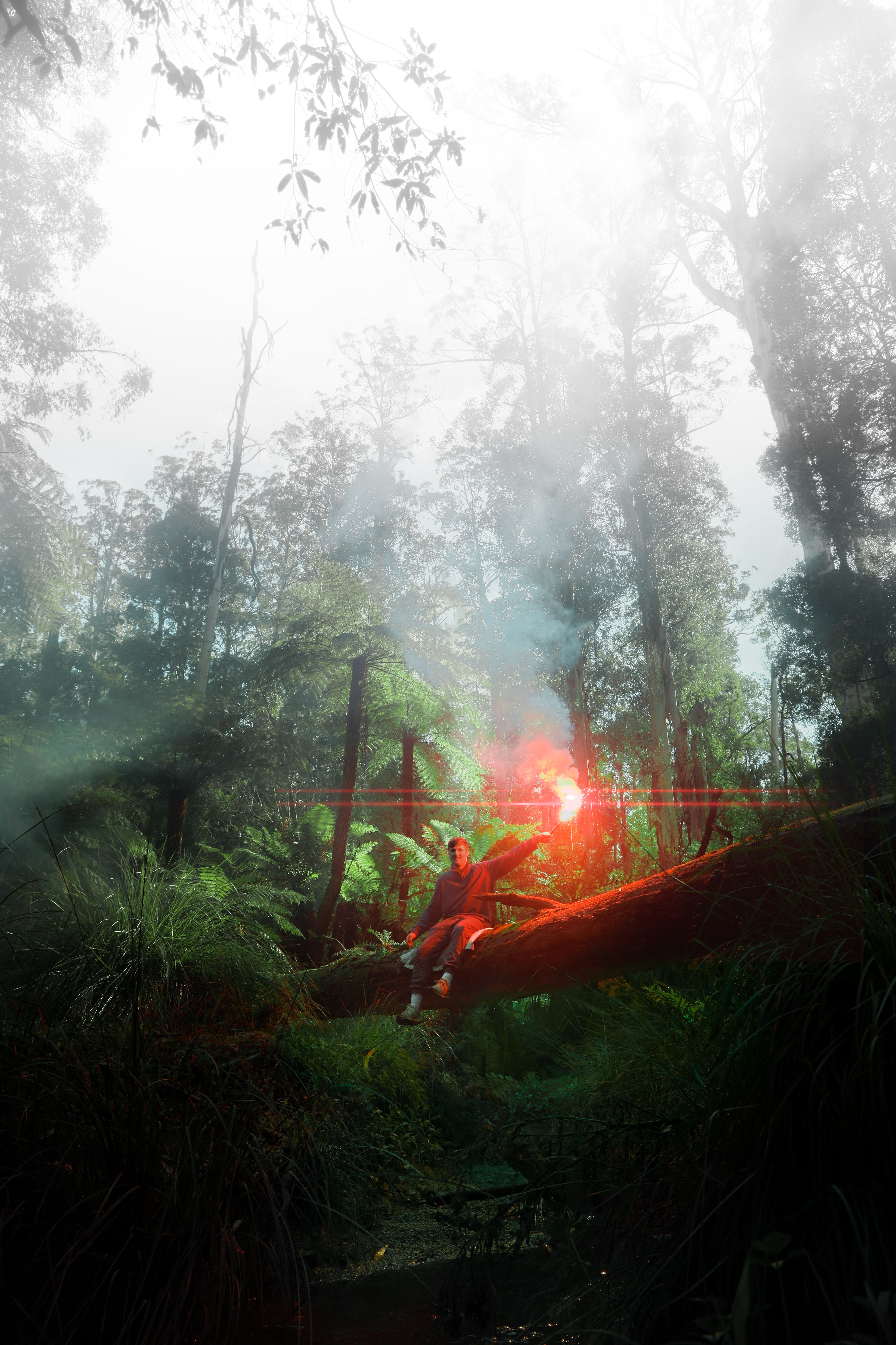 8    Hutan Walitis: Menguak Misteri Pohon Raksasa dan Tanaman Kebal Api di Temanggung  Hutan unik dengan pohon berusia puluhan tahun dan tanaman Rasamala yang konon kebal api.