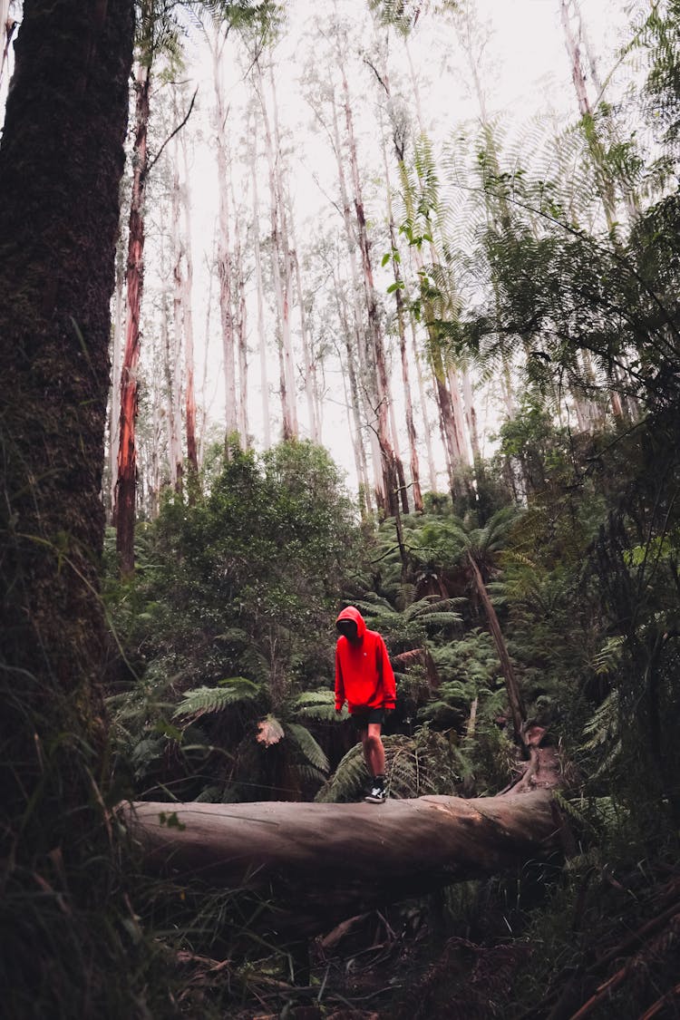 A Person In A Red Hoodie Crossing A Log Bridge