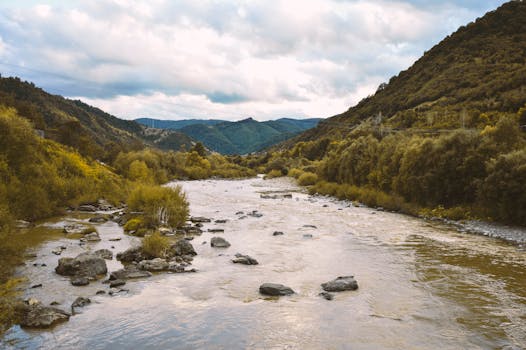A tranquil river meandering through a lush valley with mountains and dense forest surrounding it.