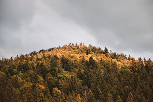 多雲的天空, 天性, 山 的 免费素材图片