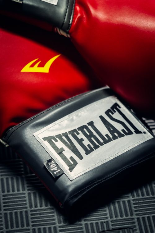 Free From above of vibrant red boxing gloves with logotype and inscription in bright room Stock Photo
