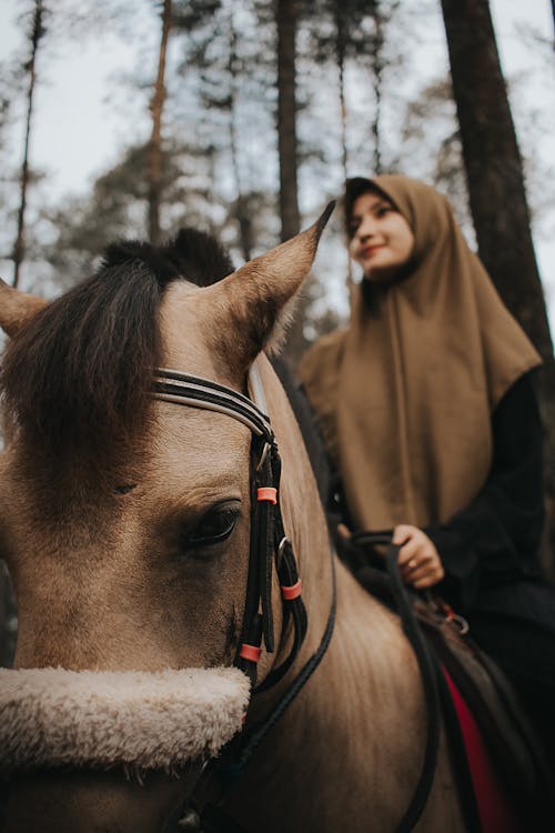 Low angle calm horse riding positive young Muslim female in hijab on back in autumn forest