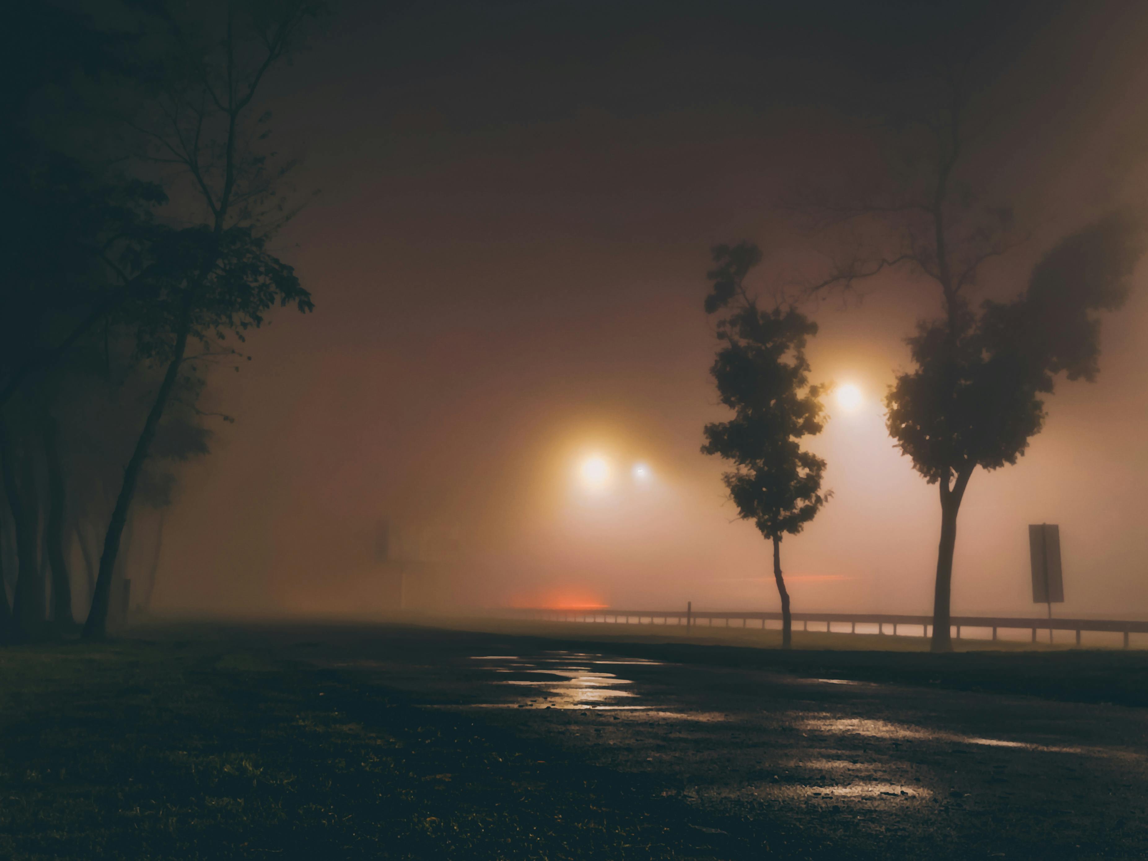 Foggy road scene at night with glowing streetlights and silhouetted trees, creating a mysterious atmosphere.