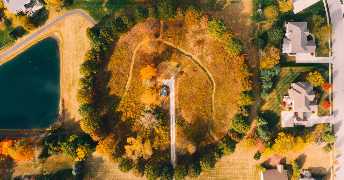 Top view of countryside area with trees near artificial pond and building roofs in autumn