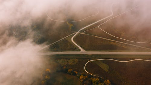 Wavy roads between green trees in foggy weather