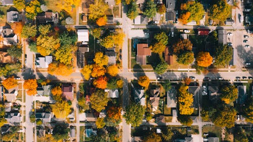 Top view of dwelling buildings between roads and colorful trees in suburb in fall