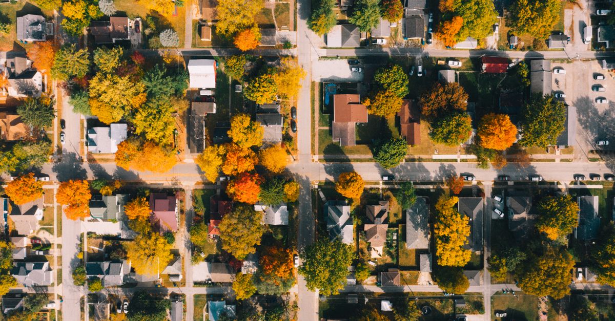 Top view of dwelling buildings between roads and colorful trees in suburb in fall