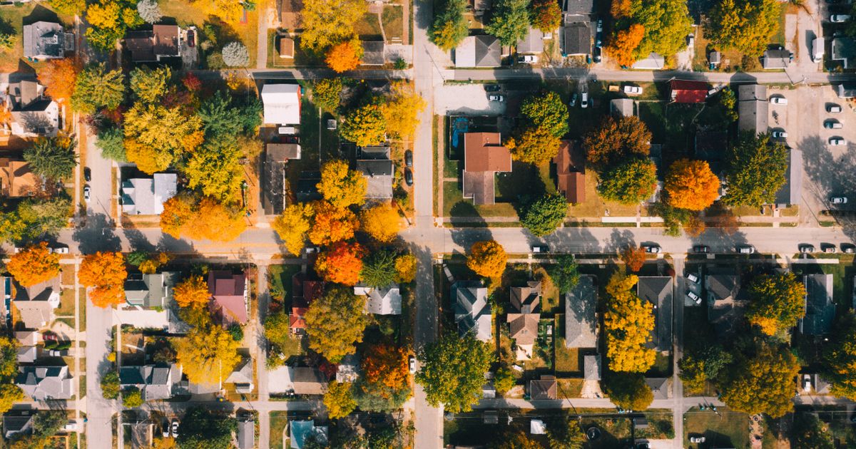 Aerial view of a tree-lined suburban Maryland neighborhood with mature foliage over residential streets