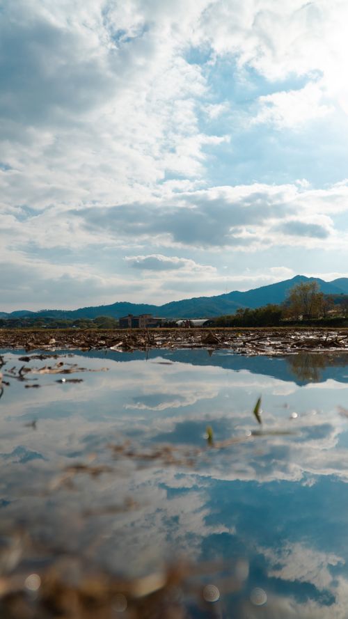 Free stock photo of landscape, sky, 곡식 Stock Photo