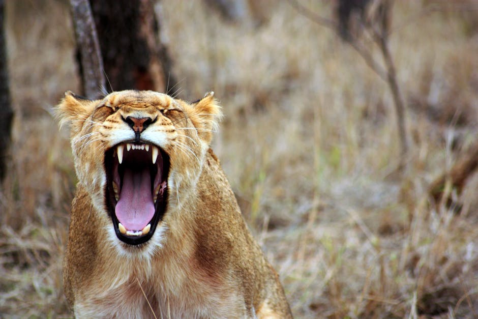 The Roar of a Lion: Power ‌and Pride