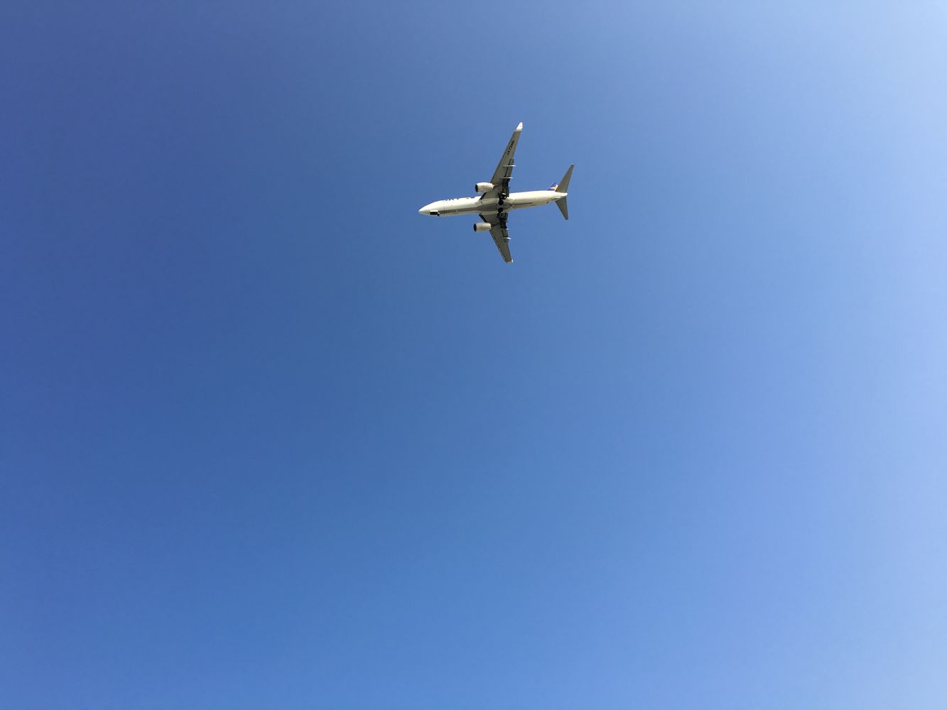 Flying Photos, Download The BEST Free Flying Stock Photos & HD Images
