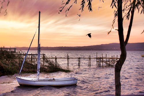 Безкоштовне стокове фото на тему «берег озера, вечір, вітрильник»