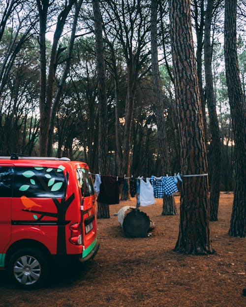 Free Camper Van on a Forest  Stock Photo