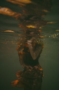 水下艺术场景中，流动的物体优雅地沉没