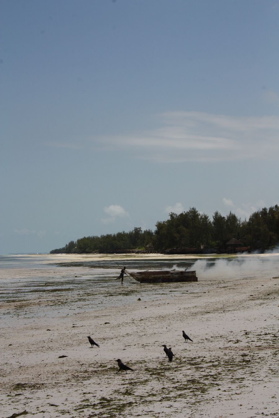 View of Kiwengwa Beach on Zanzibar's east coast