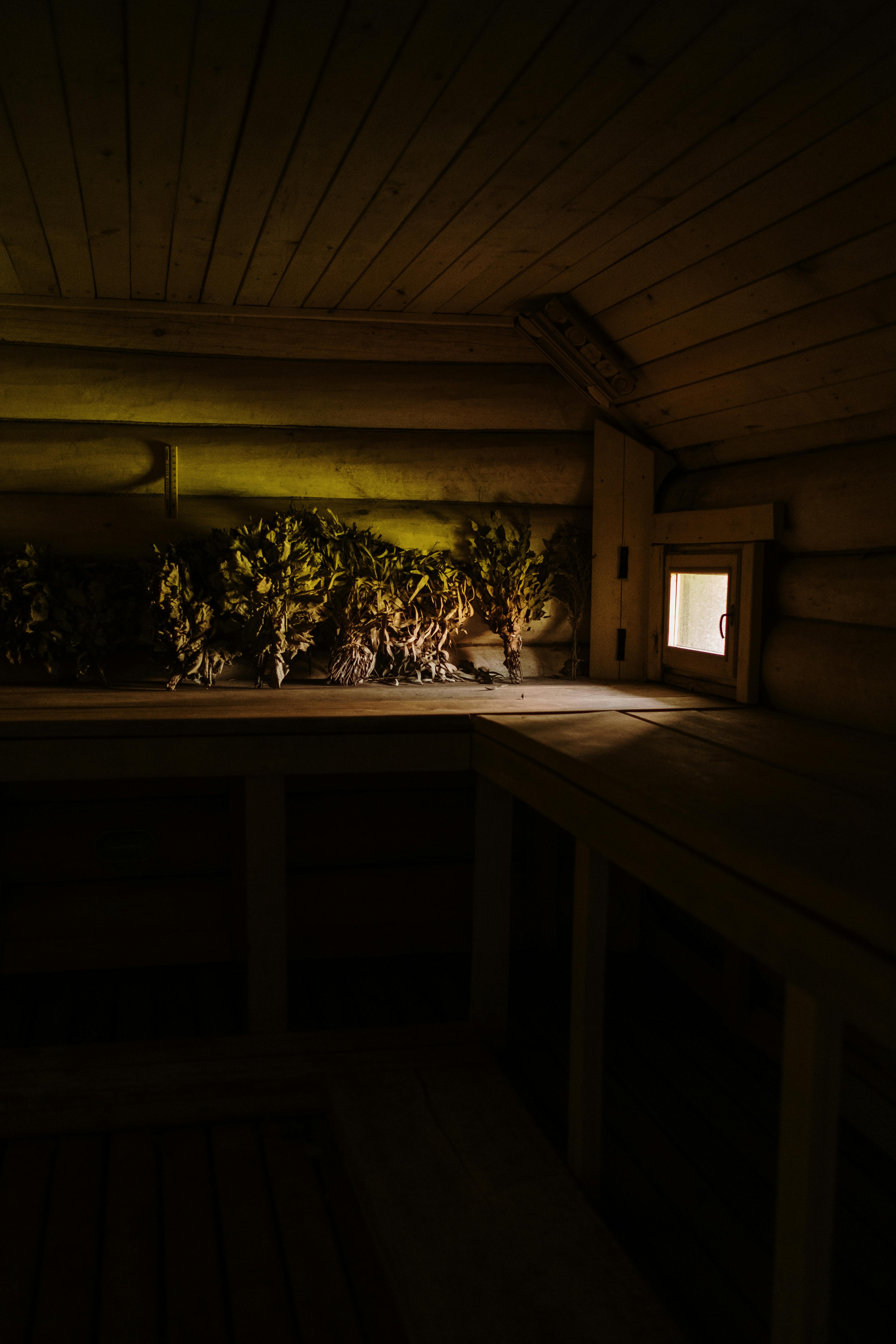 Dim, cozy sauna corner with herbal bundles