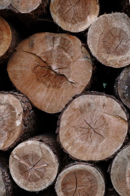 Detailed view of stacked wooden logs showing natural textures and patterns.