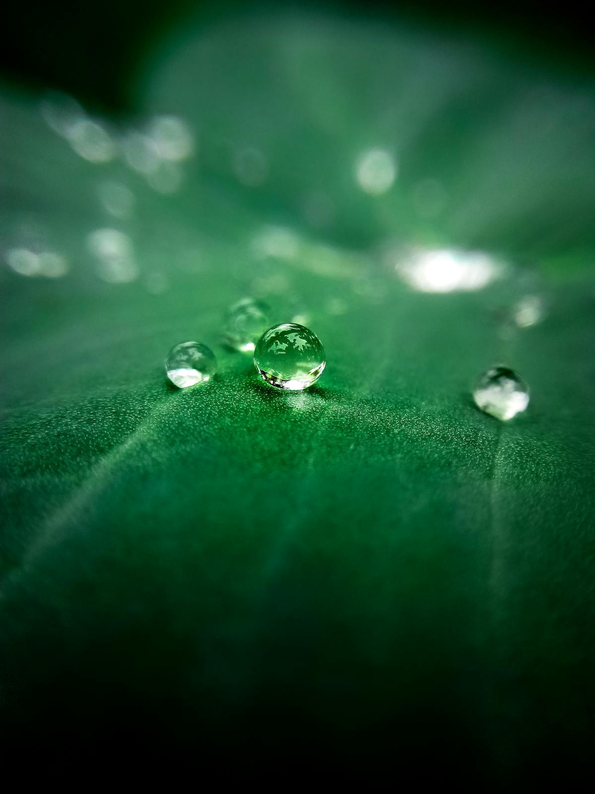 Wrestling ring lit dramatically with a performer entering