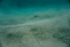 Shark Bay