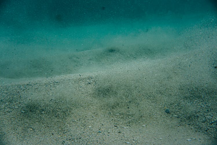 Muddy Sandy Bottom On Depth Of Ocean