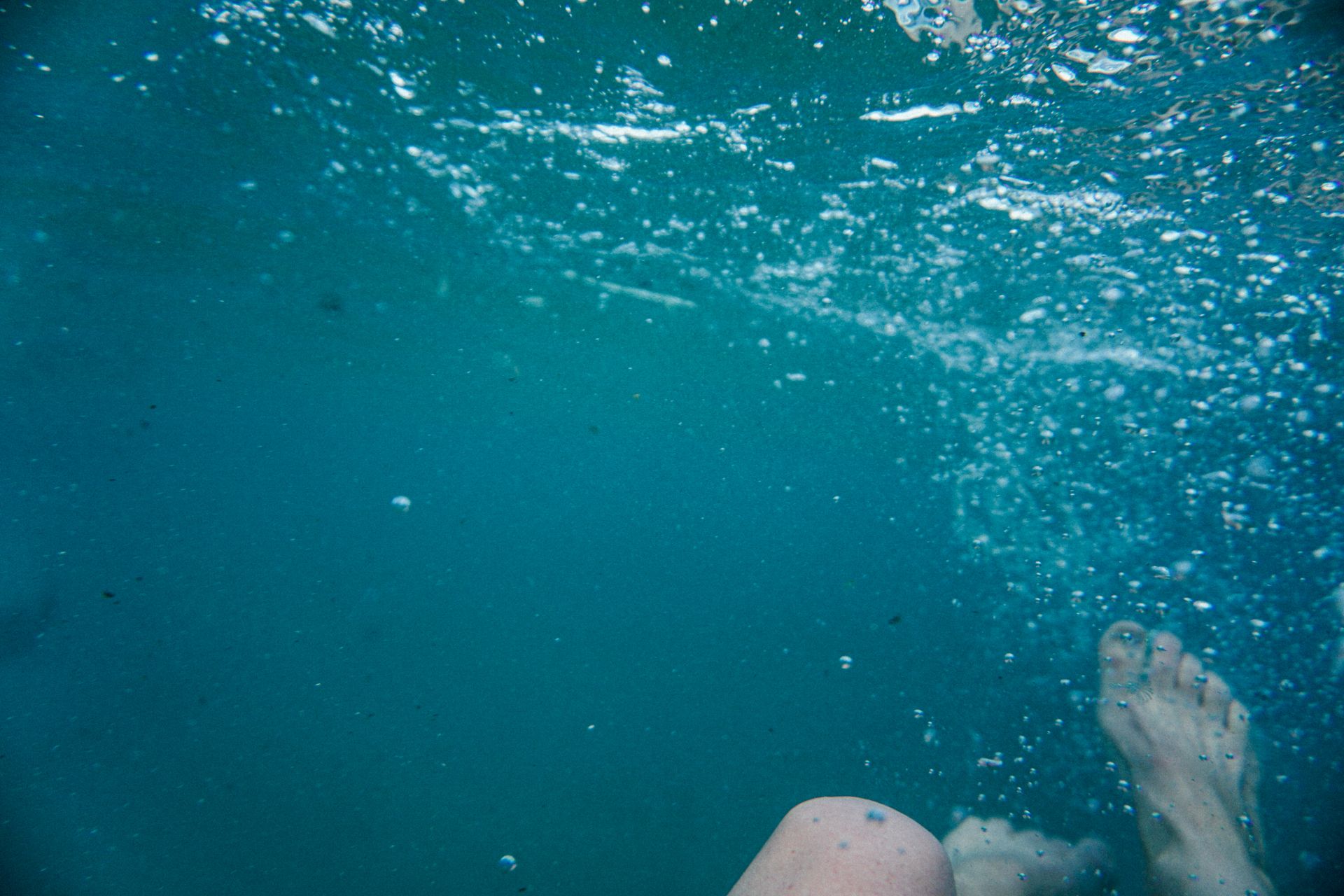 Underwater at Rapid Bay Old Jetty