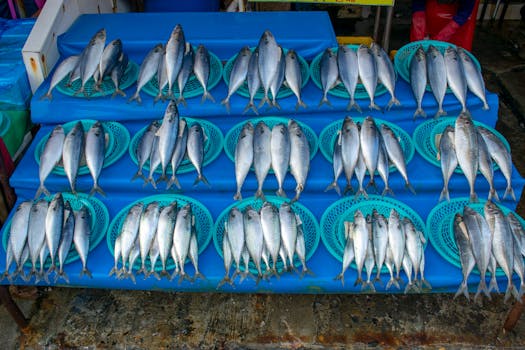 A colorful arrangement of fresh fish on blue baskets at an outdoor market.