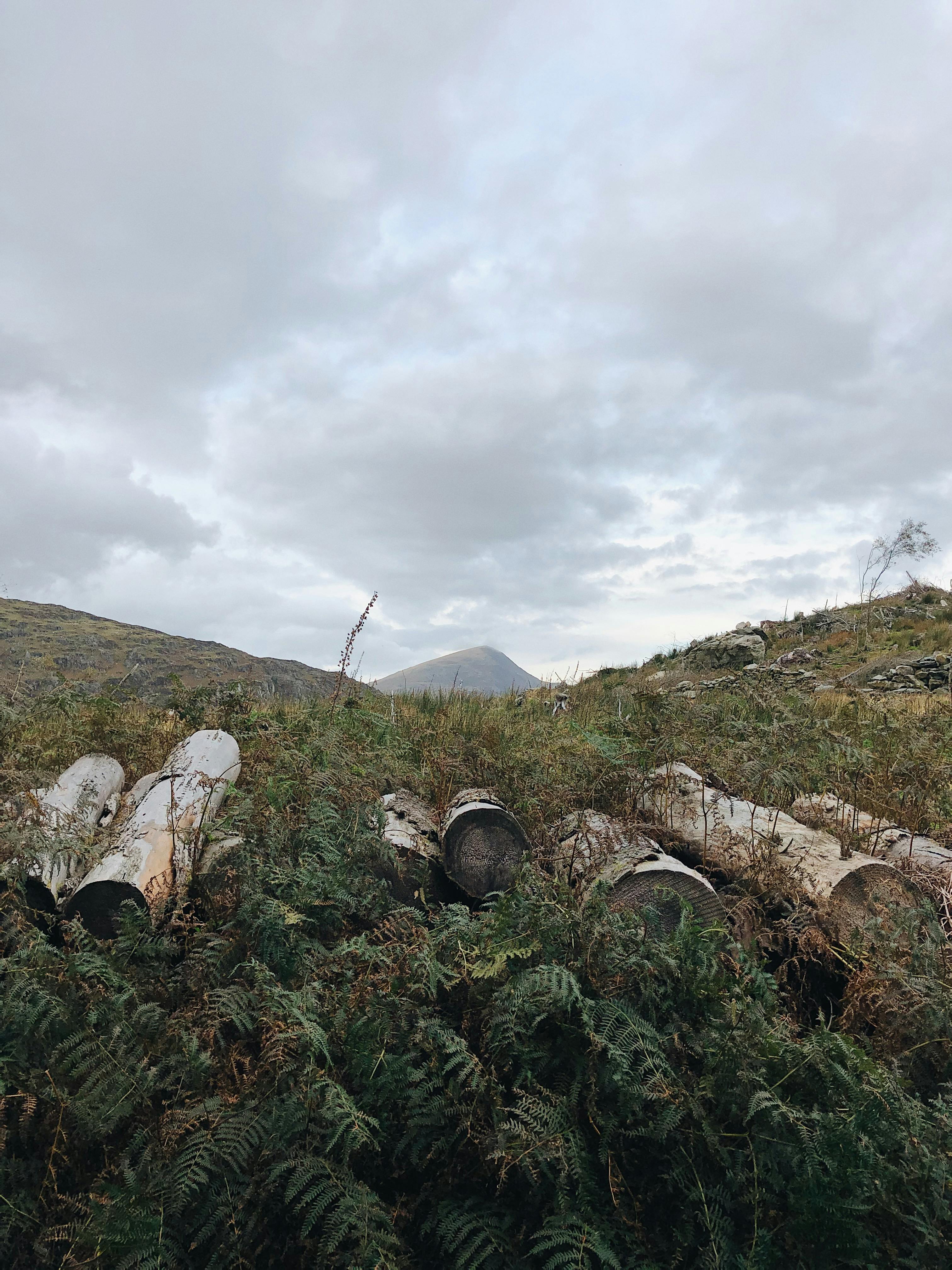 Tranquil scene featuring logs and rolling hills in Conwy, Wales, under a cloudy sky.