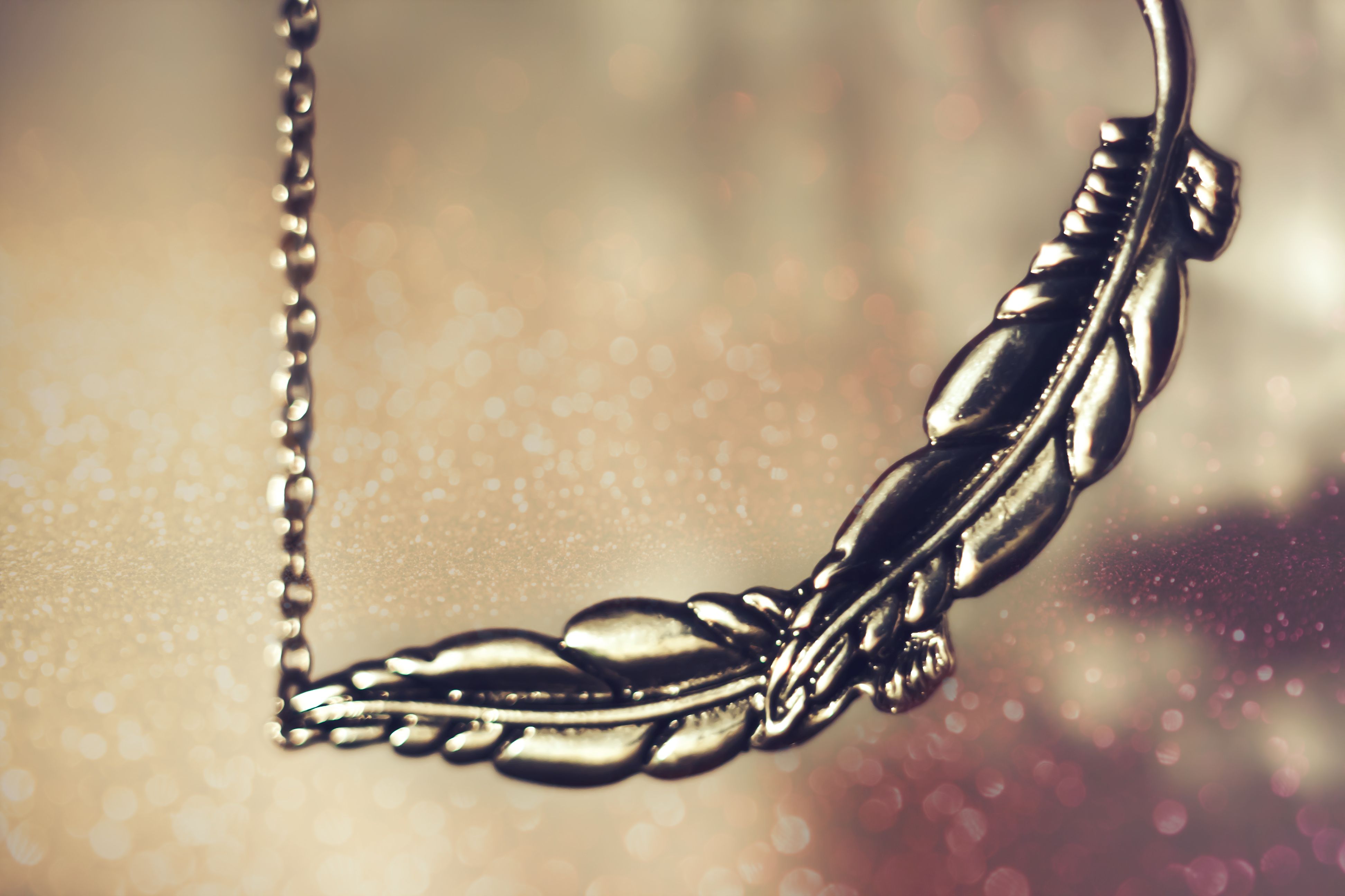 silver-feather-jewelry-free-stock-photo