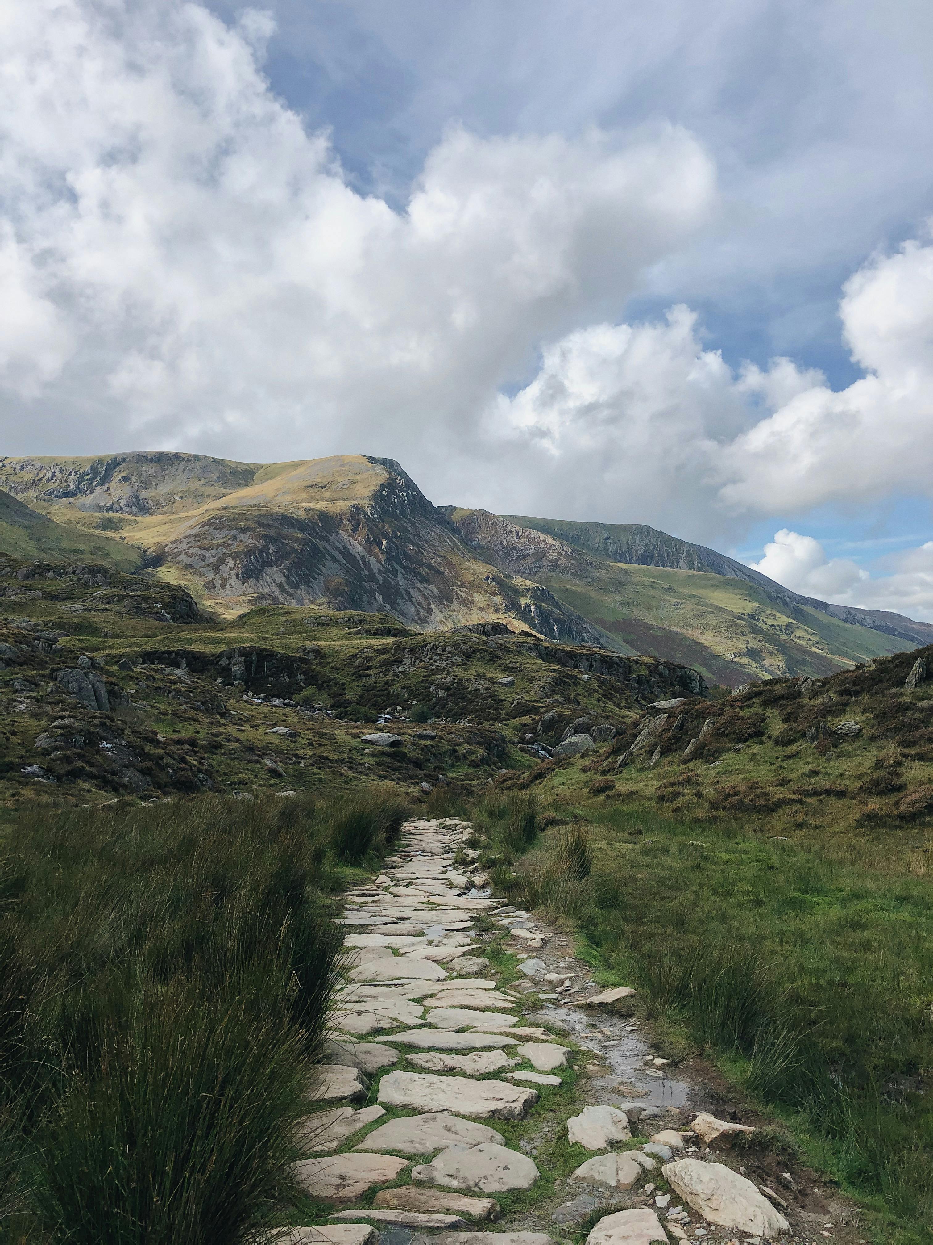 Stone path through lush greenery leading to mountains under a cloudy sky in Wales.