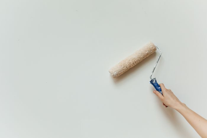 Application de peinture au rouleau sur un mur