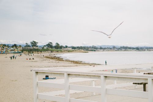 Free Peaceful beach scene featuring a soaring seagull and people enjoying the shoreline. Stock Photo
