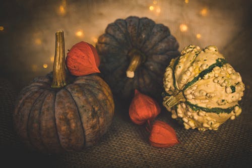 Colorful round pumpkins with orange physalis placed on fabric near glowing wall in light room during harvest season in autumn