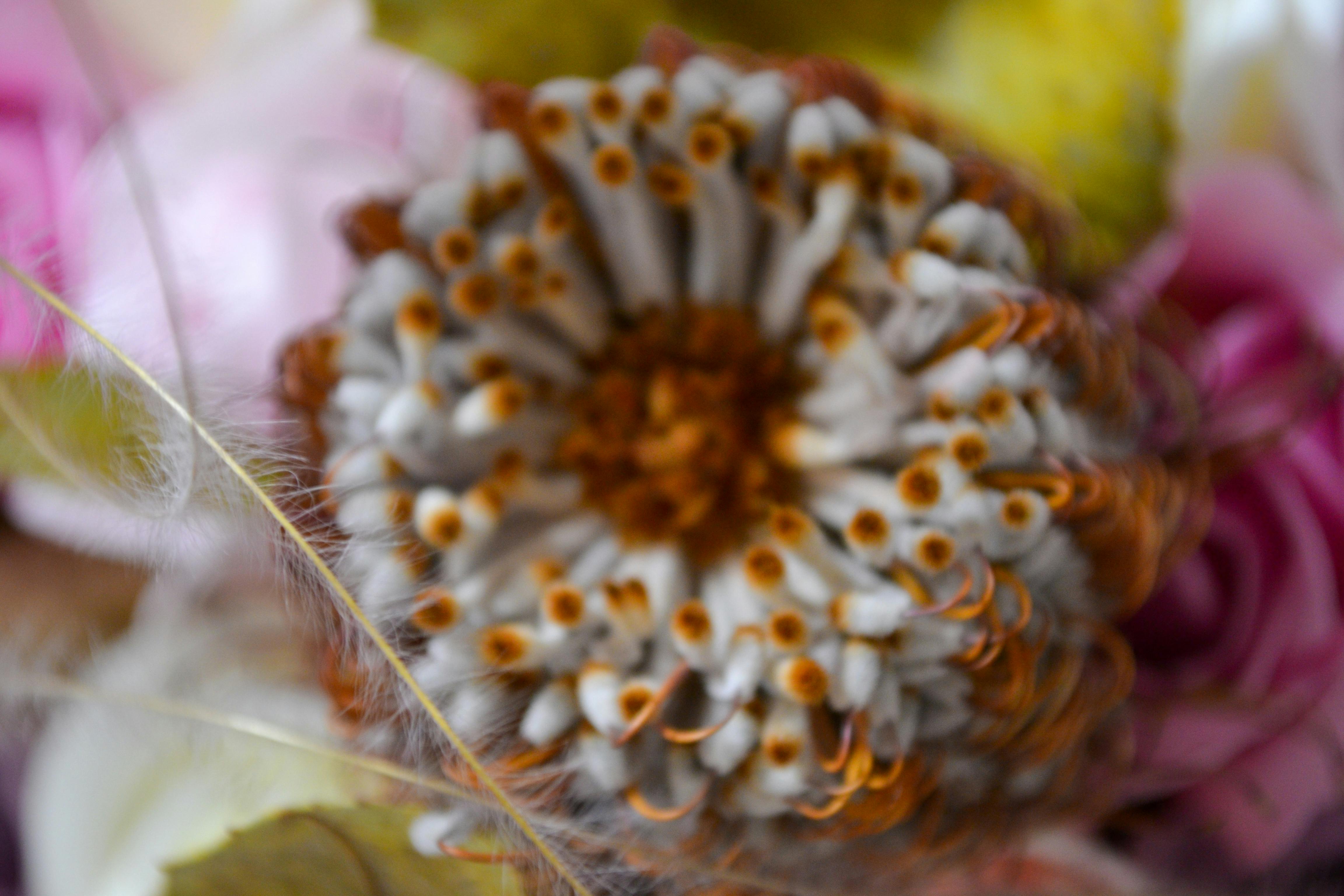 Two wrestlers performing in a ring with bright lights and a large crowd