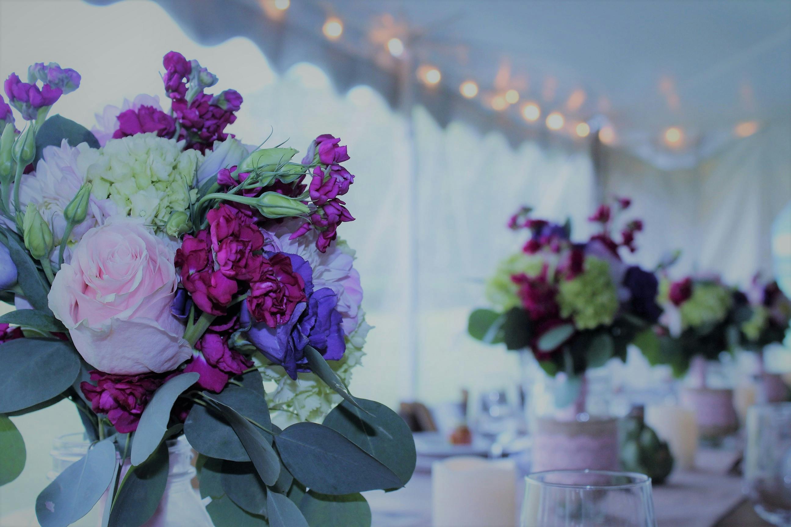 Free stock photo of wedding flowers