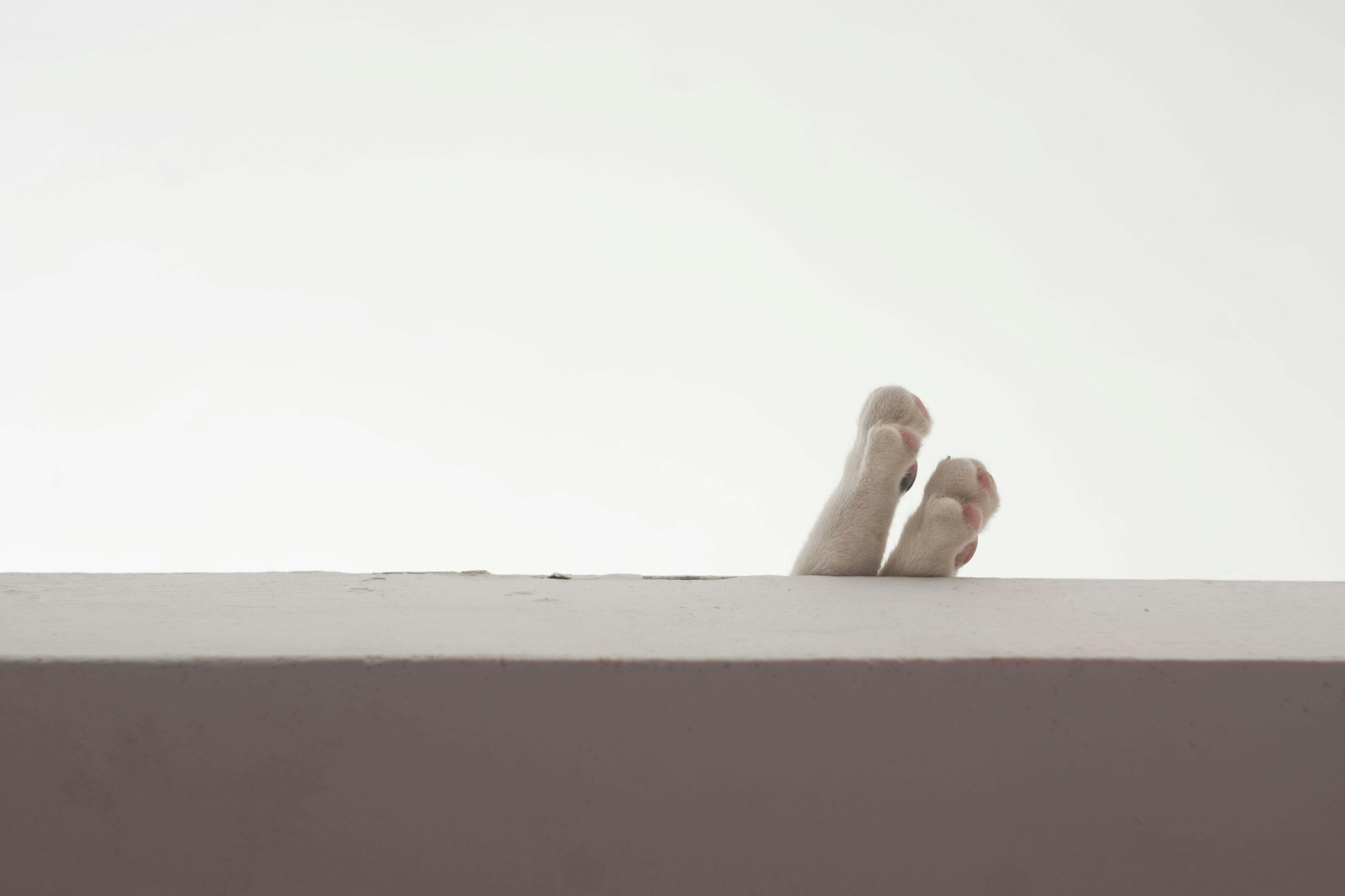 Wrestling ring lit by spotlights, symbolizing the entertainment world Ted DiBiase Jr. came from