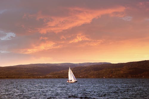 Photos gratuites de eau, faire signe, fleuve