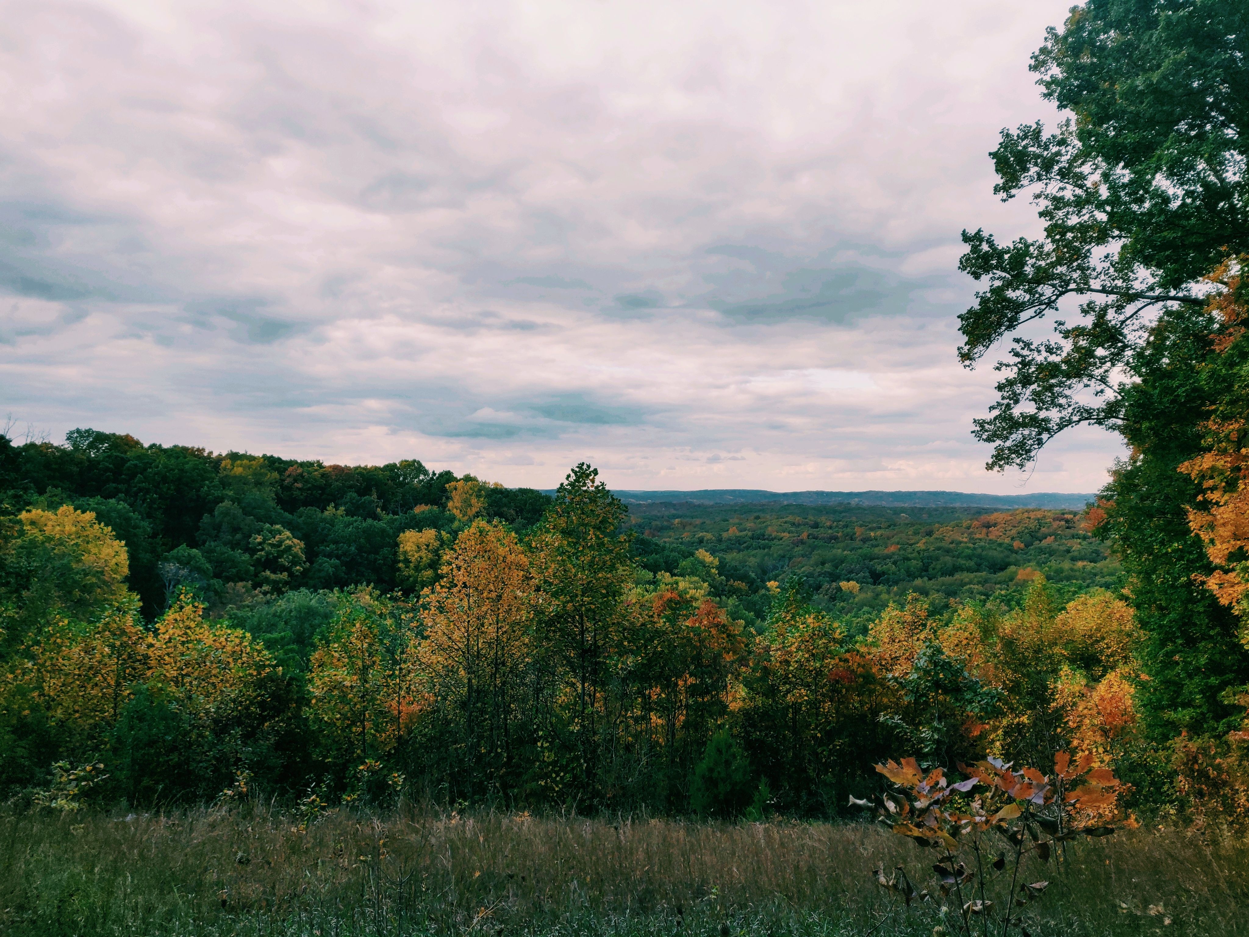 A serene view of Brown County forests during autumn, showcasing vibrant fall foliage under a cloudy sky.