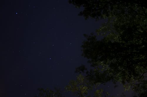 Δωρεάν στοκ φωτογραφιών με αστέρια, δέντρα, νυχτερινός ουρανός