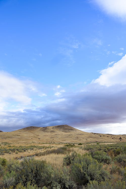 Hills with steppe vegetation in vast valley