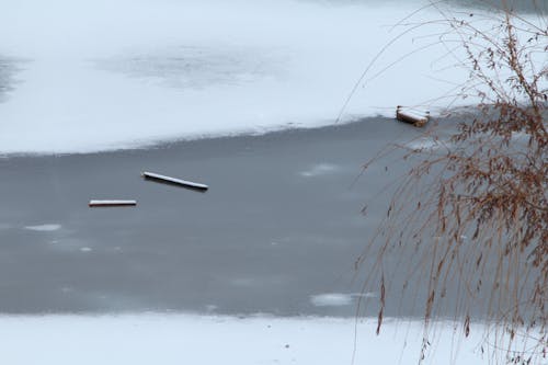 Základová fotografie zdarma na téma řeka, rýma, sníh