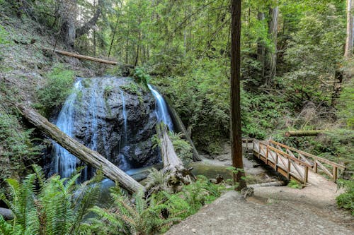 Waterfalls and Wooden Footbridge in a Forest 