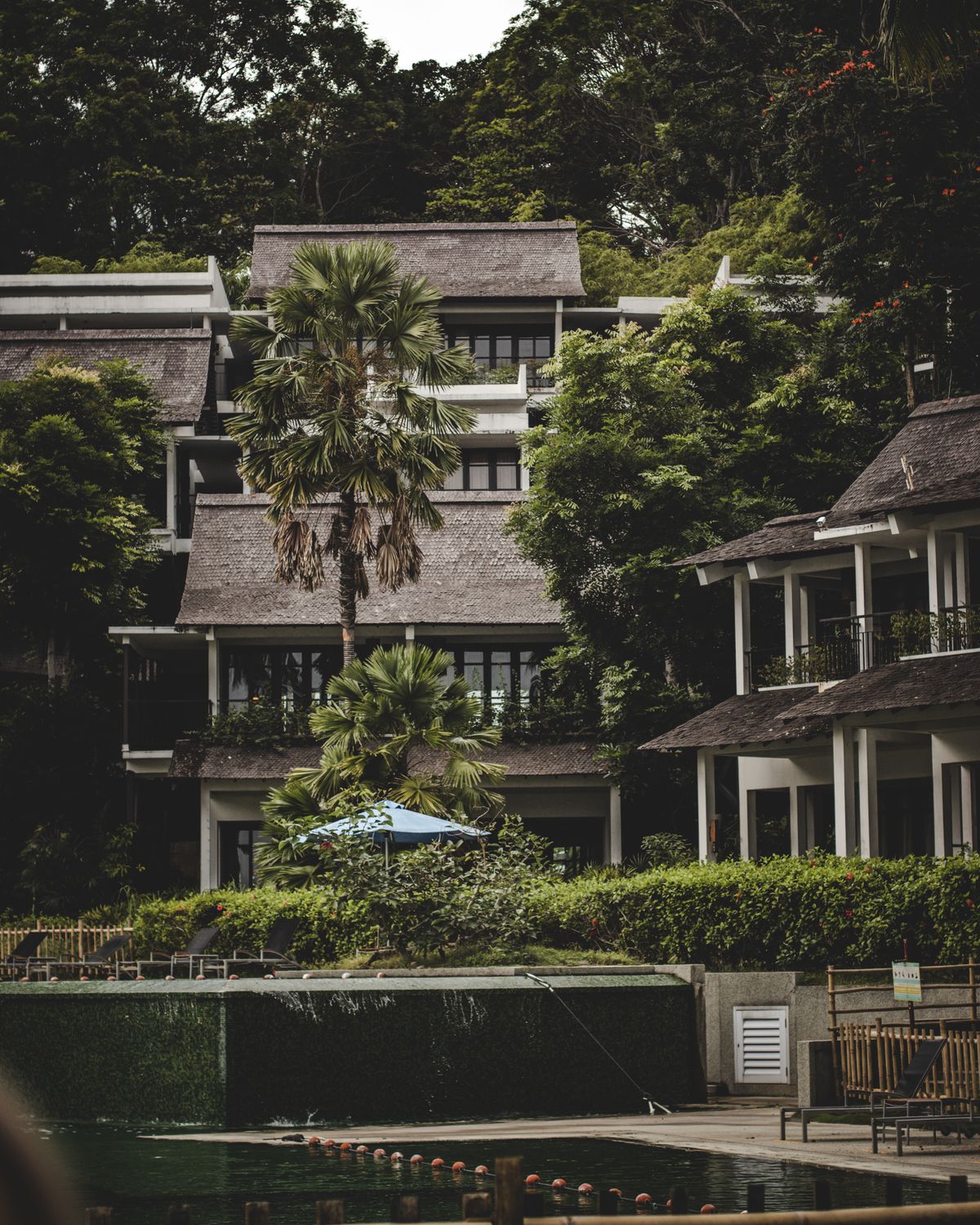 Modern resort architecture surrounded by greenery