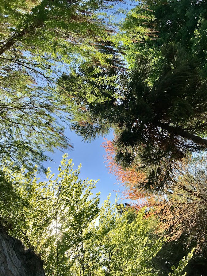 Complete 72-hour winter emergency kit organized by category with clear labeling and winter-specific gear