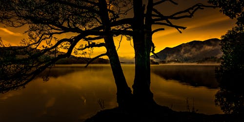 Foto stok gratis bayangan hitam, danau, Fajar