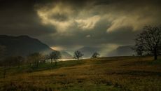 Green Grass Field Under Gray Clouds